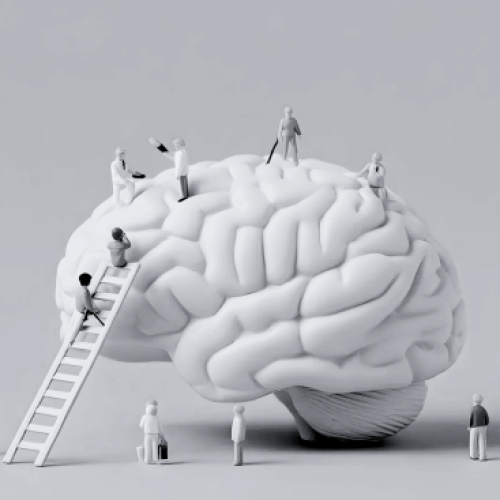 Neuroplasticity and Brain Retraining: Why Consistency Changes the Nervous System