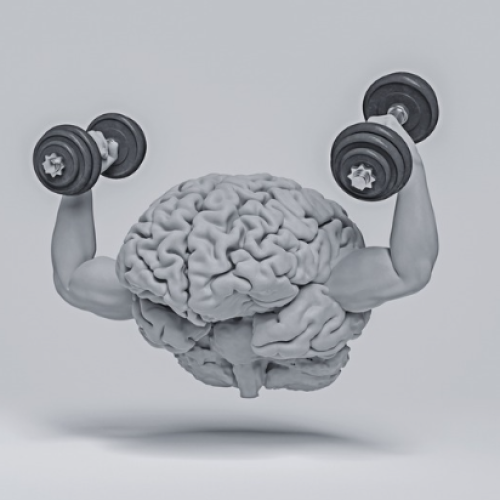 What Is Neuroplasticity?